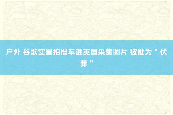 户外 谷歌实景拍摄车进英国采集图片 被批为＂伏莽＂