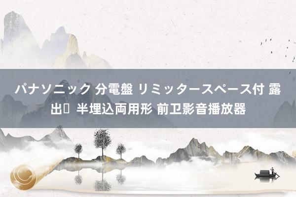 パナソニック 分電盤 リミッタースペース付 露出・半埋込両用形 前卫影音播放器