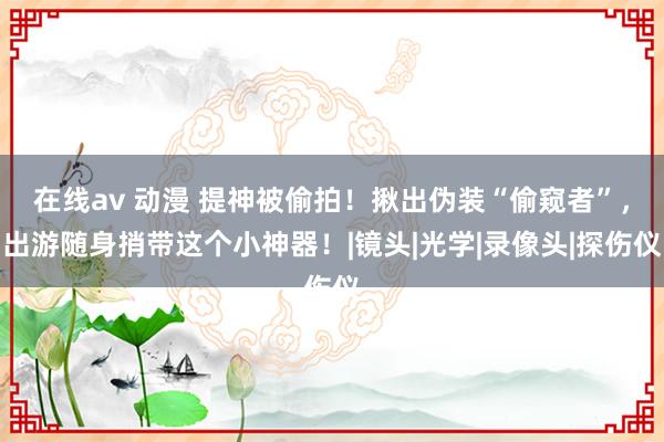 在线av 动漫 提神被偷拍！揪出伪装“偷窥者”，出游随身捎带这个小神器！|镜头|光学|录像头|探伤仪