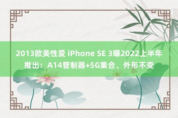 2013欧美性爱 iPhone SE 3曝2022上半年推出：A14管制器+5G集合、外形不变