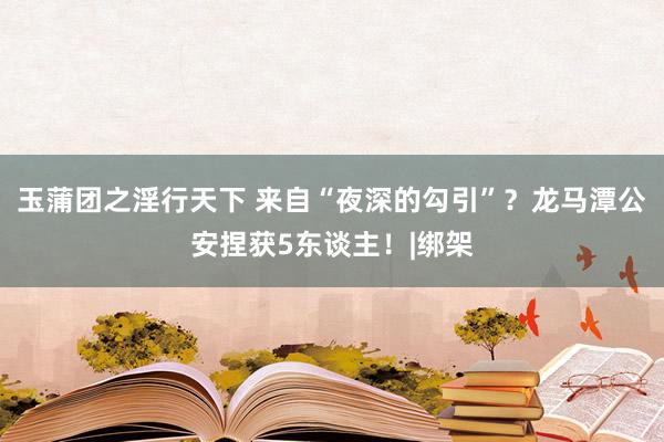 玉蒲团之淫行天下 来自“夜深的勾引”？龙马潭公安捏获5东谈主！|绑架