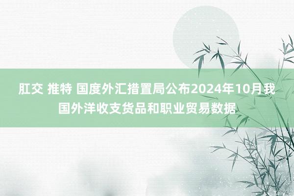 肛交 推特 国度外汇措置局公布2024年10月我国外洋收支货品和职业贸易数据